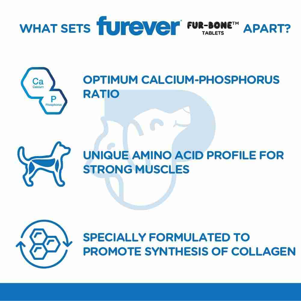 PAWSOME COMPANIONS  Furever Fur-Wellbeing Tablets for Dogs & Cats 30 S – (Best Before Aug’26)