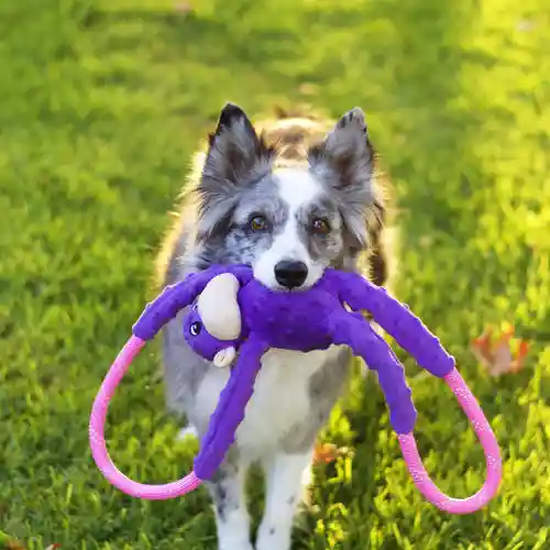 Zippy Paws Rope Tugz Monkey Plush Toy for Dogs, Purple