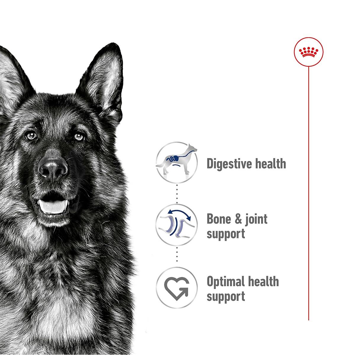 Royal Canin Maxi Adult Dry Dog Food