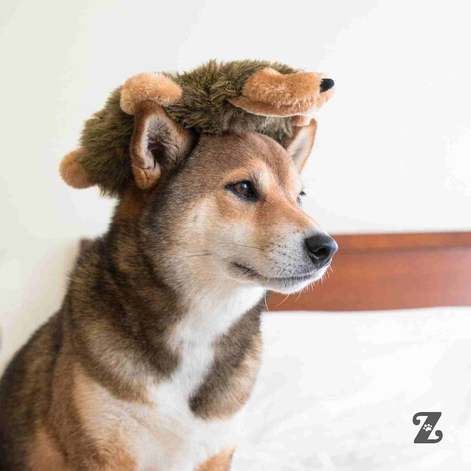 Zippy Paws Loopy Wolf Plush Toy for Dogs