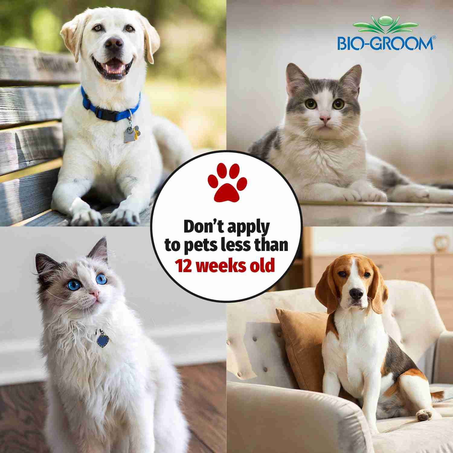 Bio-Groom Flea & Tick Pyrethrin Concentrate Dip for Dogs (236 ml)