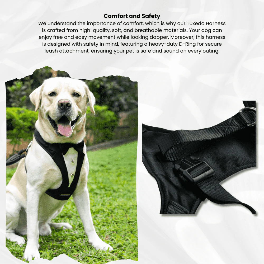 Waggety Tuxedo Dog Harness, (Black & White)