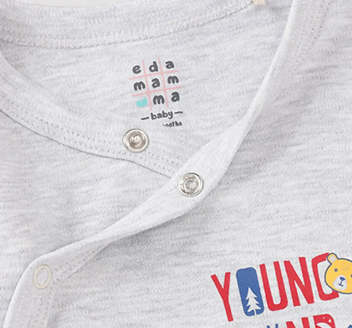 Infant Boys Printed 100% Cotton Bodysuit - Multicolour (Pack of 2)