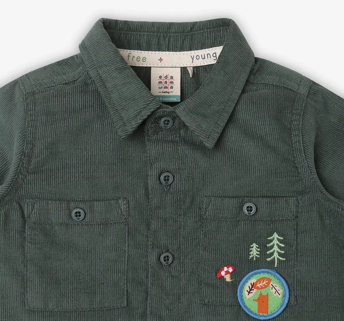 Infant Boys Embroidered 100% Cotton Shirt - Olive