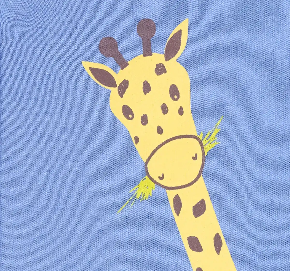 Infant Boys Printed 100% Cotton Sleepsuit - Blue