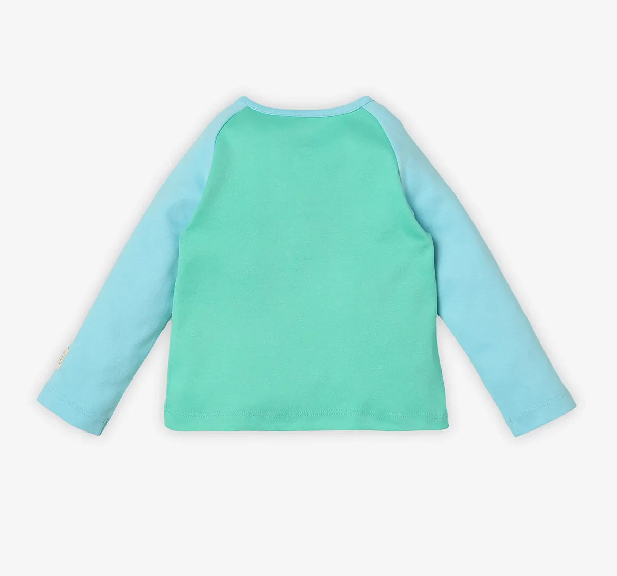 Infant Unisex Colour-Block 100% Cotton T-Shirt – Blue and Green