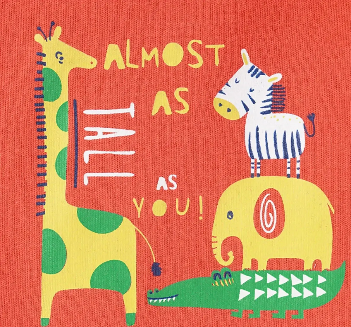 Baby Boys Ranglan Sleeve Tee