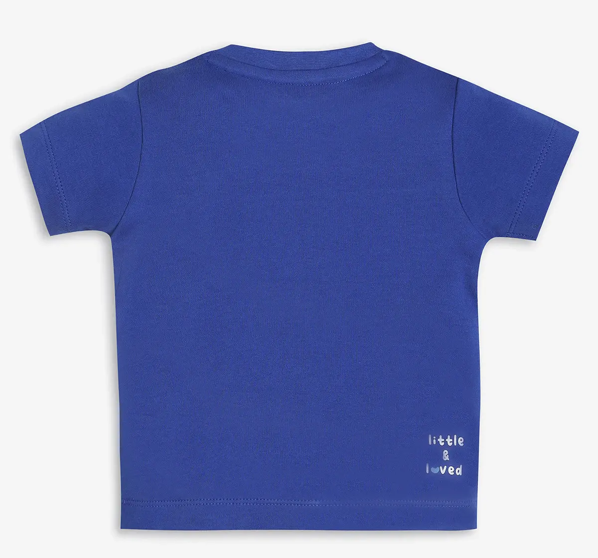 Infant Boys Half Sleeves Dog House Printed Applique Tee - Blue