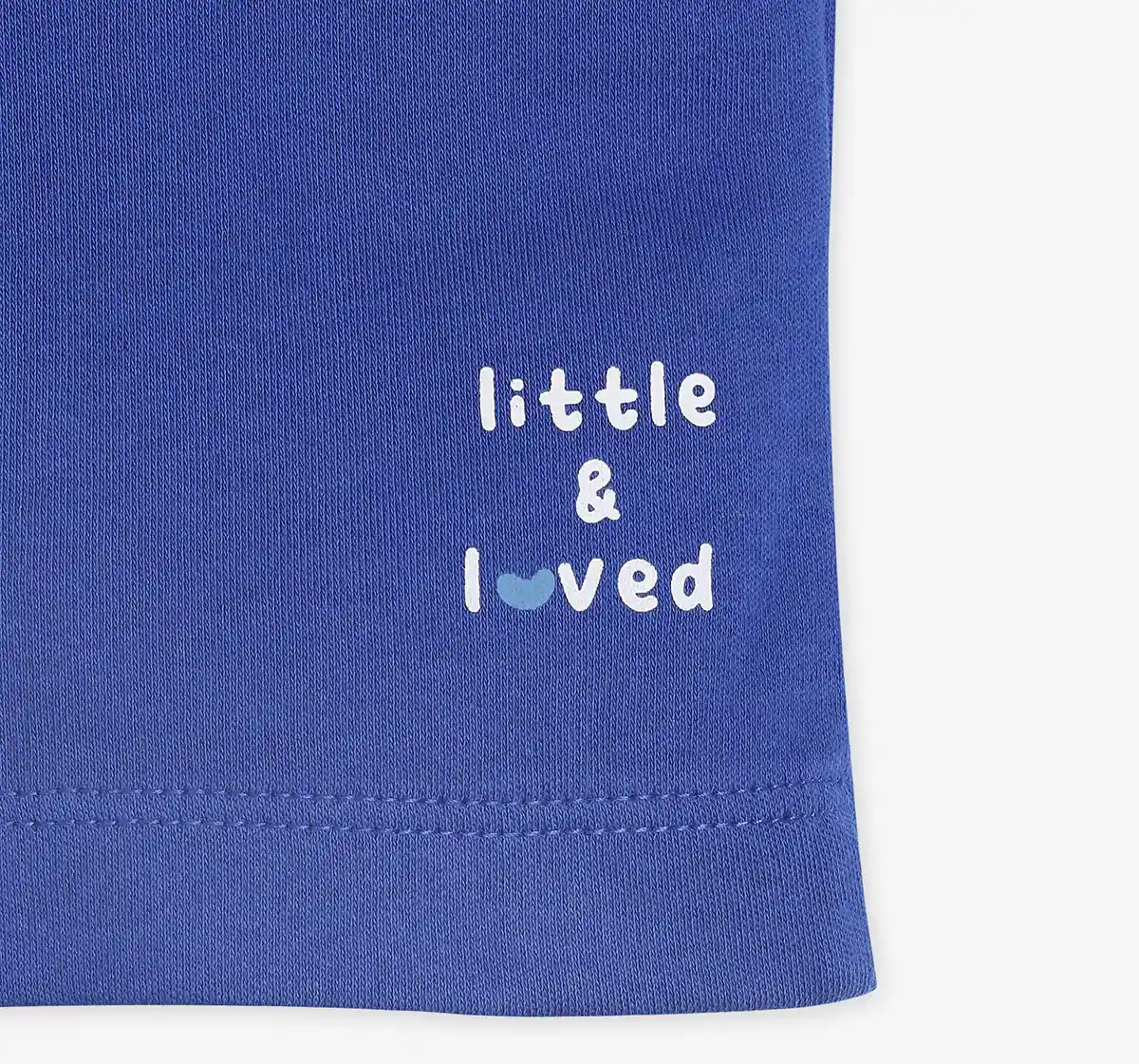 Infant Boys Half Sleeves Dog House Printed Applique Tee - Blue