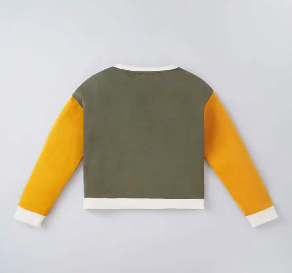 Boys Color Block Sweatshirt