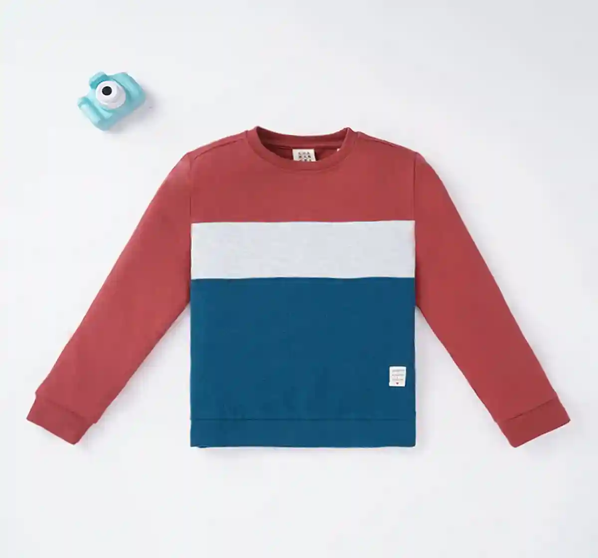 Boys Color Block Sweatshirt