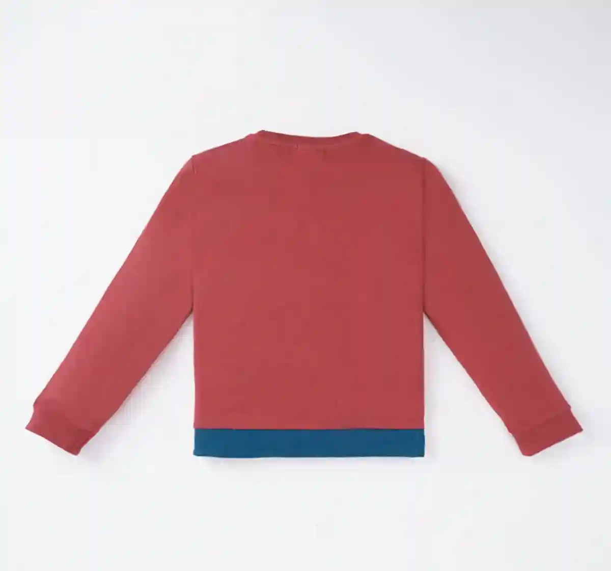 Boys Color Block Sweatshirt