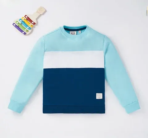 Boys Color-Block Sweatshirt