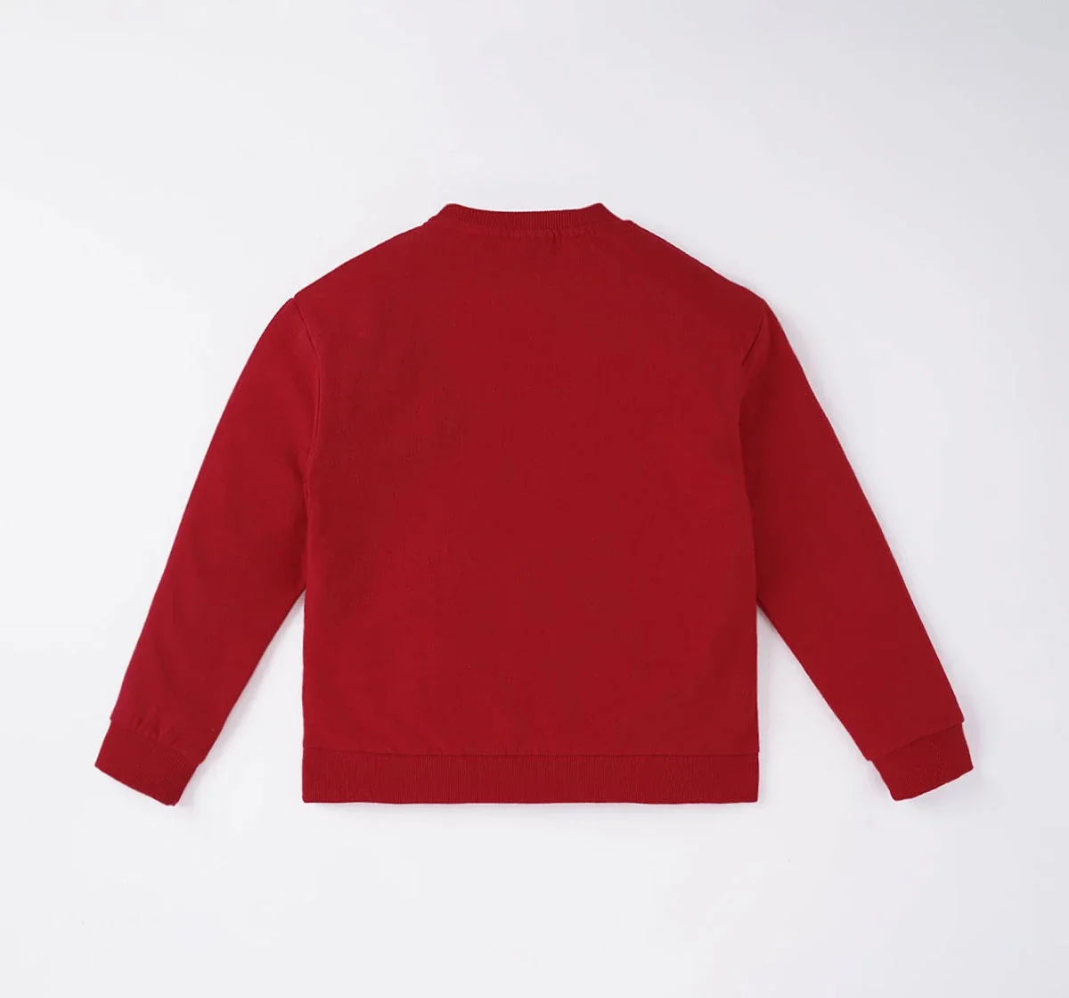 Boys Printed Sweatshirt