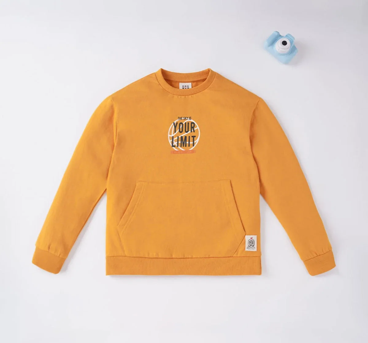 Boys Printed Sweatshirt