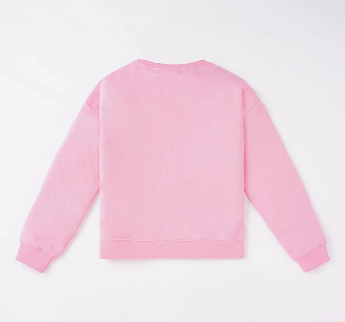 Girls Basic Printed Sweatshirt