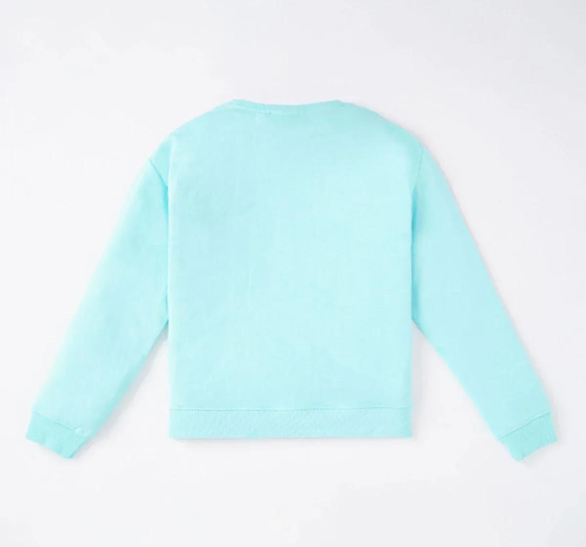 Girls Basic Printed Sweatshirt
