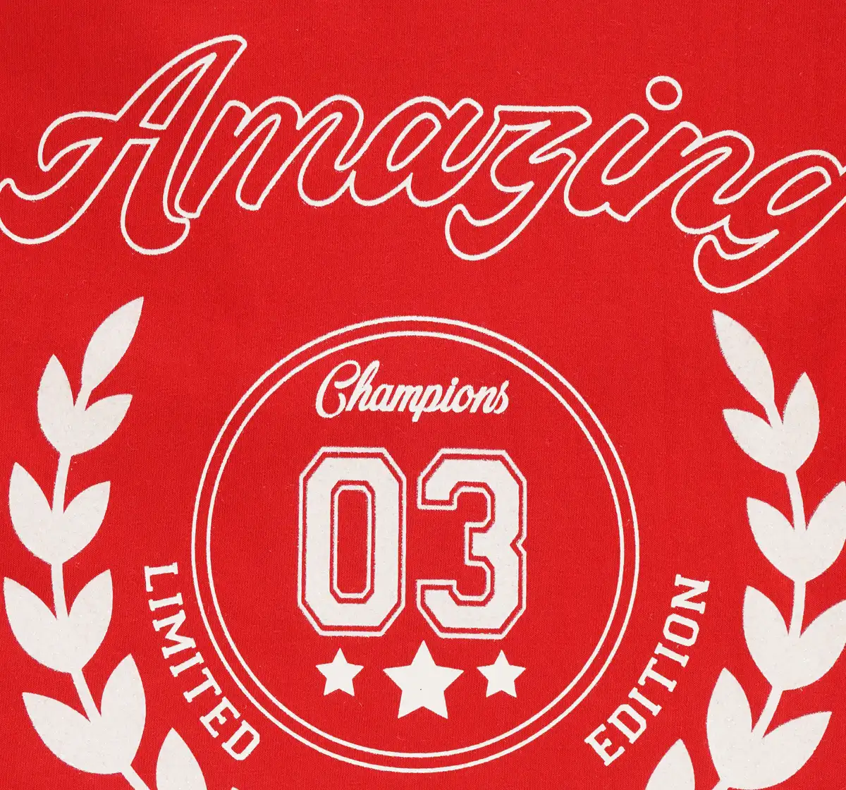 Girls Full Sleeves Printed T-Shirt