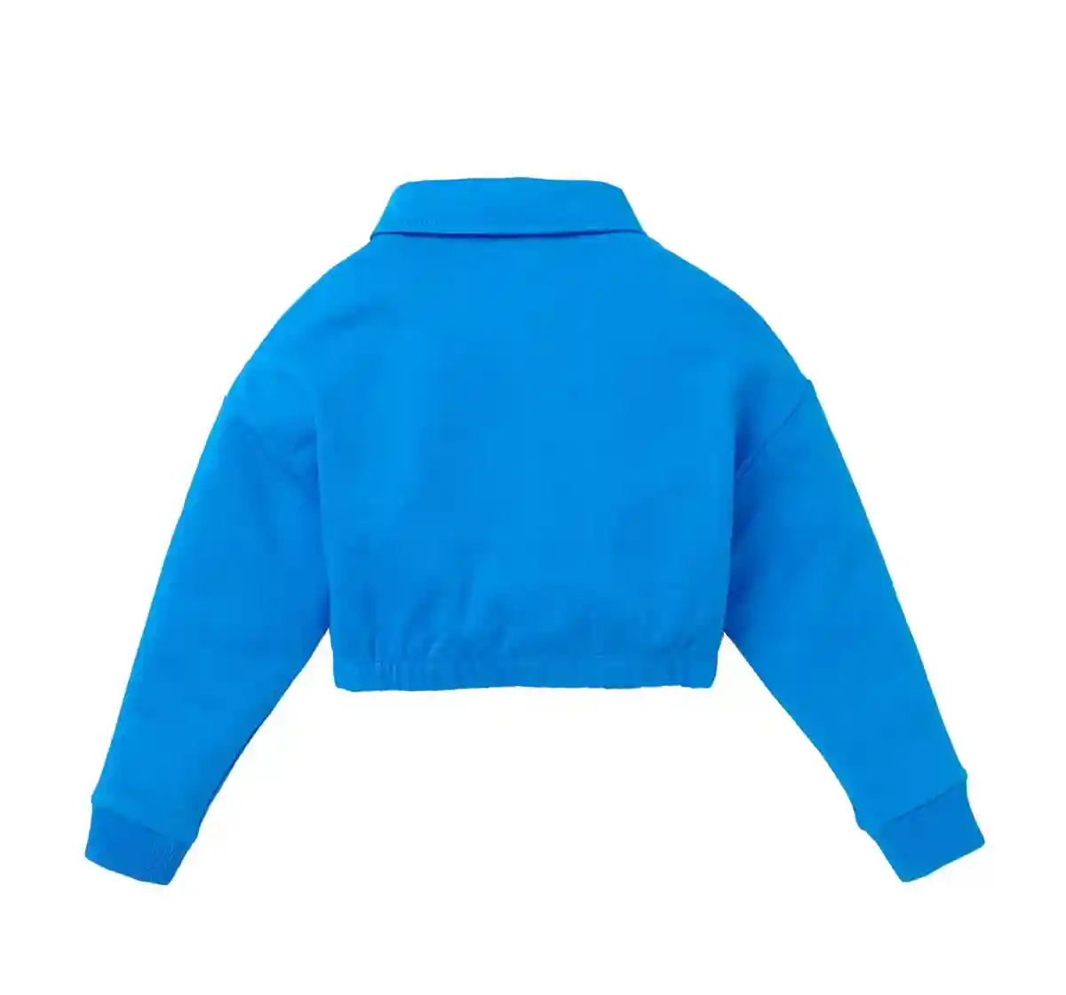 Graphic Print Crop Sweatshirt