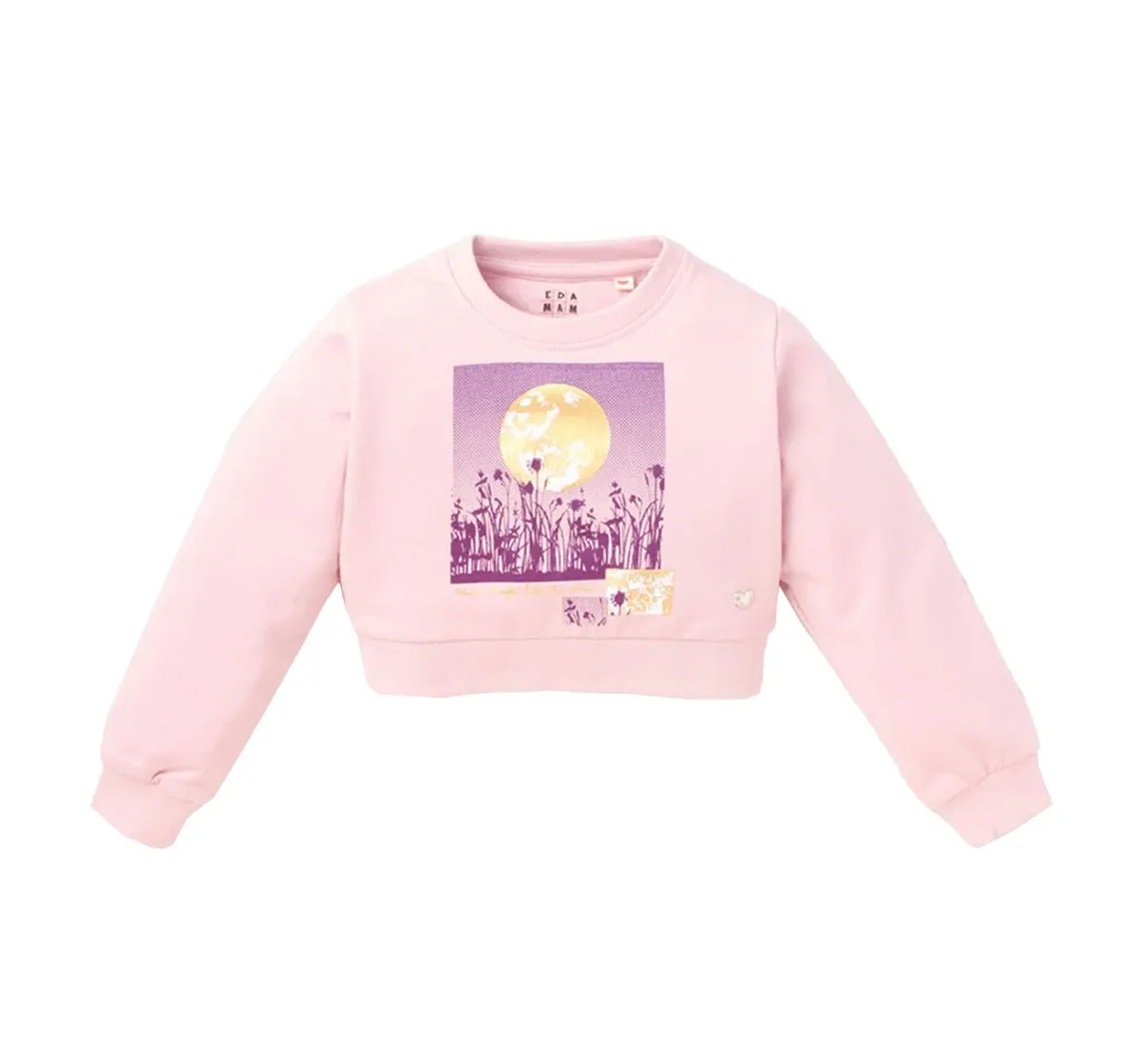Glitter Print Crop Sweatshirt