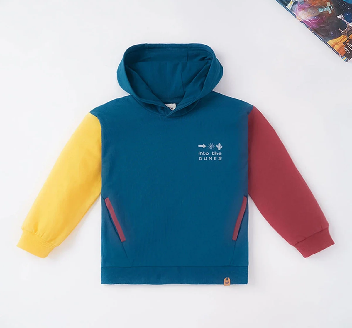 Boys Color Block Hoodie