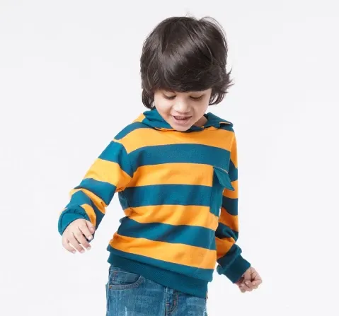 Boys Striped Hooded Hoodie