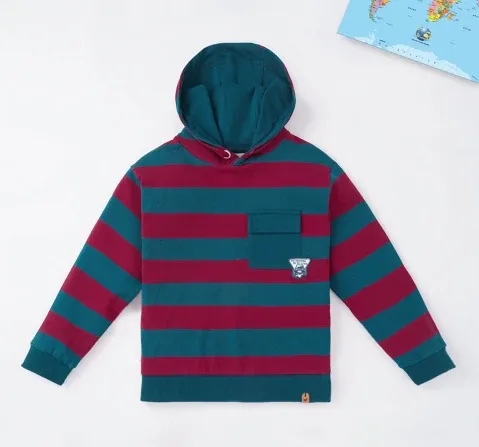Boys Striped Hoodie