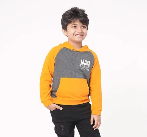 Boys Full Sleeves Printed Hoodie
