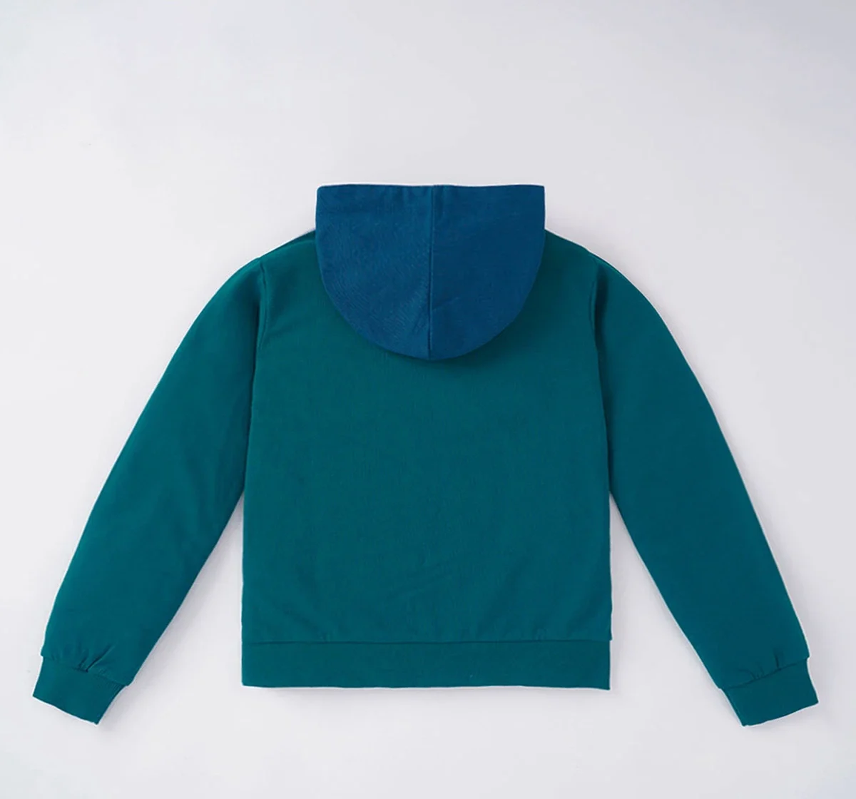 Boys Color Block Hoodie