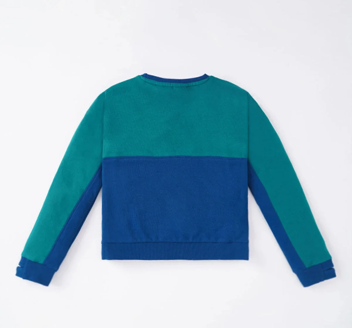 Boys Color Block Sweatshirt