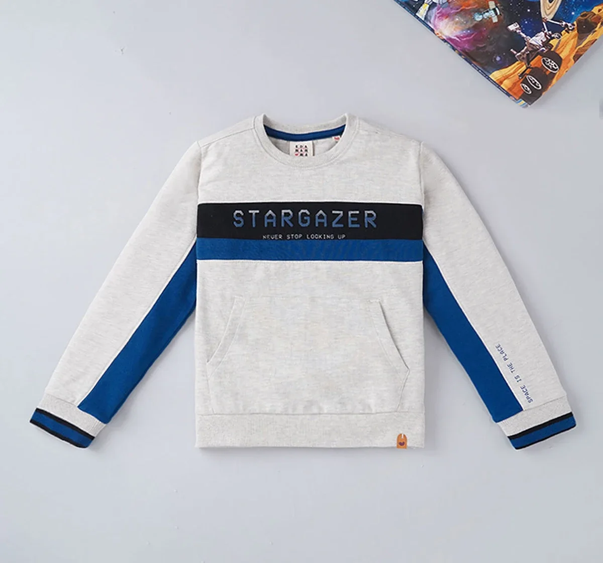 Boys Color Block Sweatshirt