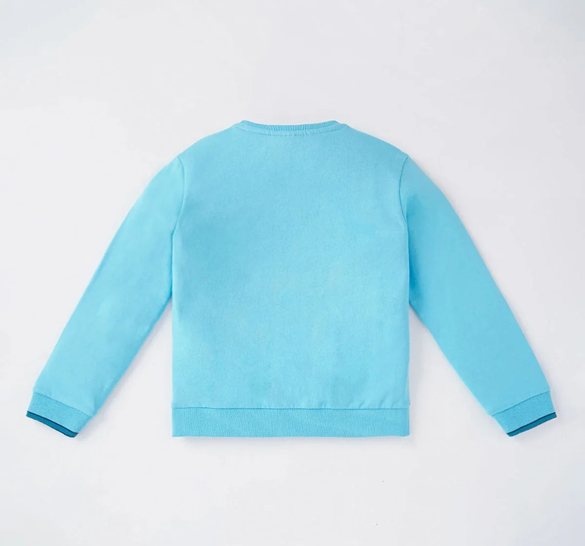 Boys Crew Neck Printed Sweatshirt