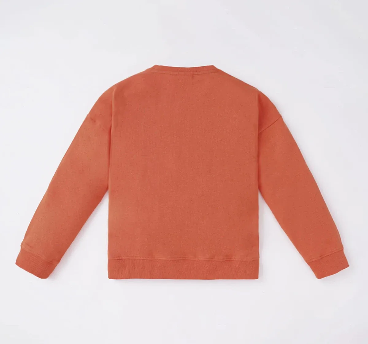 Boys Printed Sweatshirt