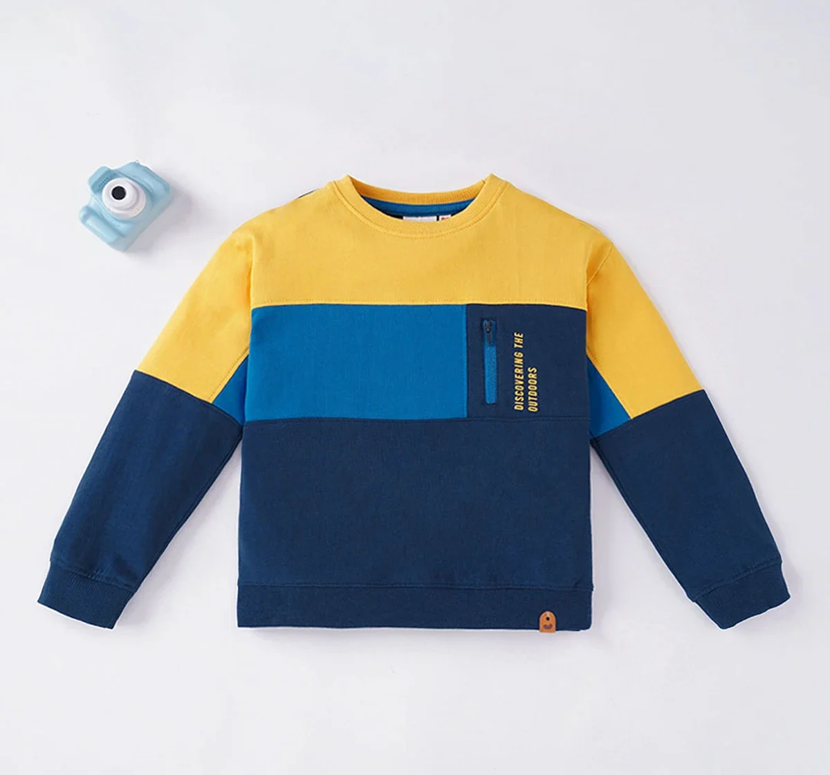 Boys Color Block Sweatshirt