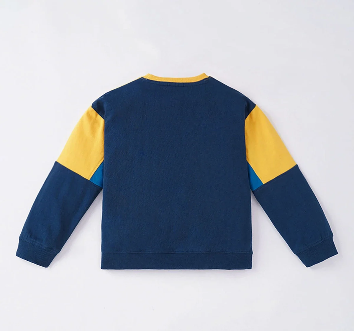 Boys Color Block Sweatshirt