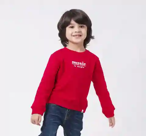 Boys Printed Sweatshirt