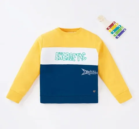 Boys Cut And Sew Sweatshirt