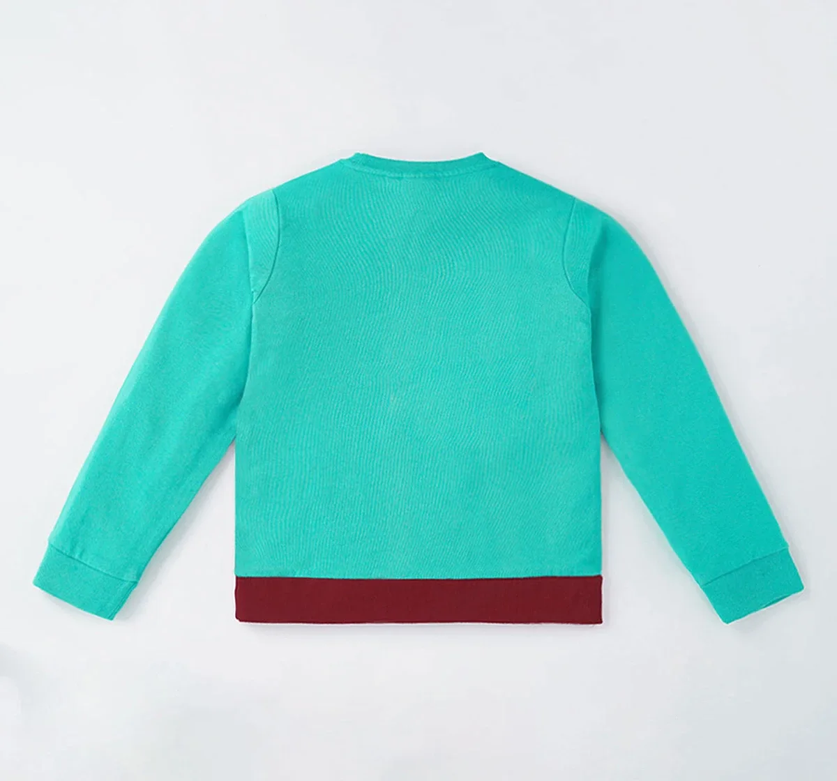 Boys Cut And Sew Sweatshirt
