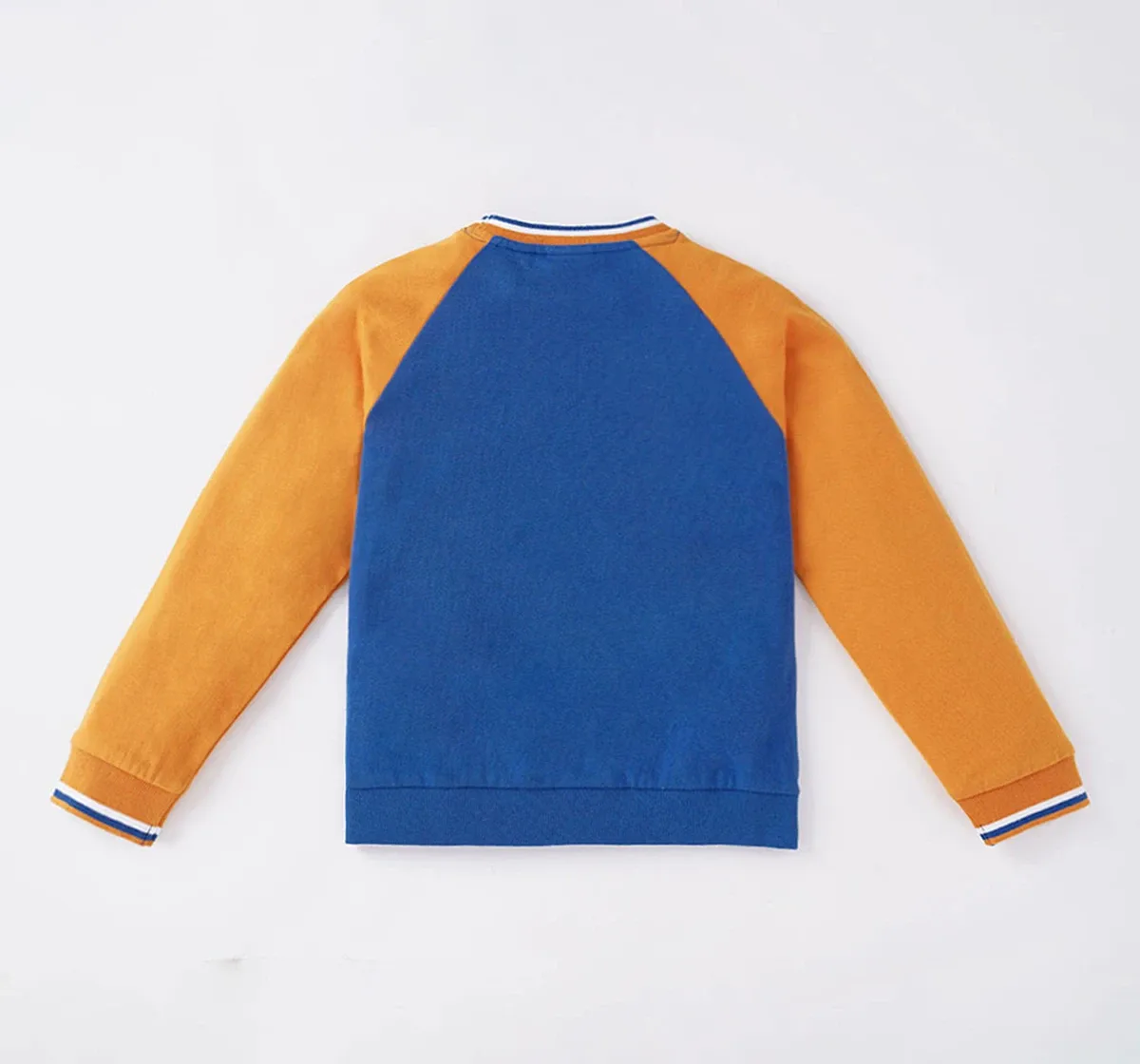 Boys Color Block Sweatshirt