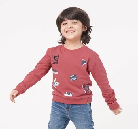 Boys Embroidered Sweatshirt