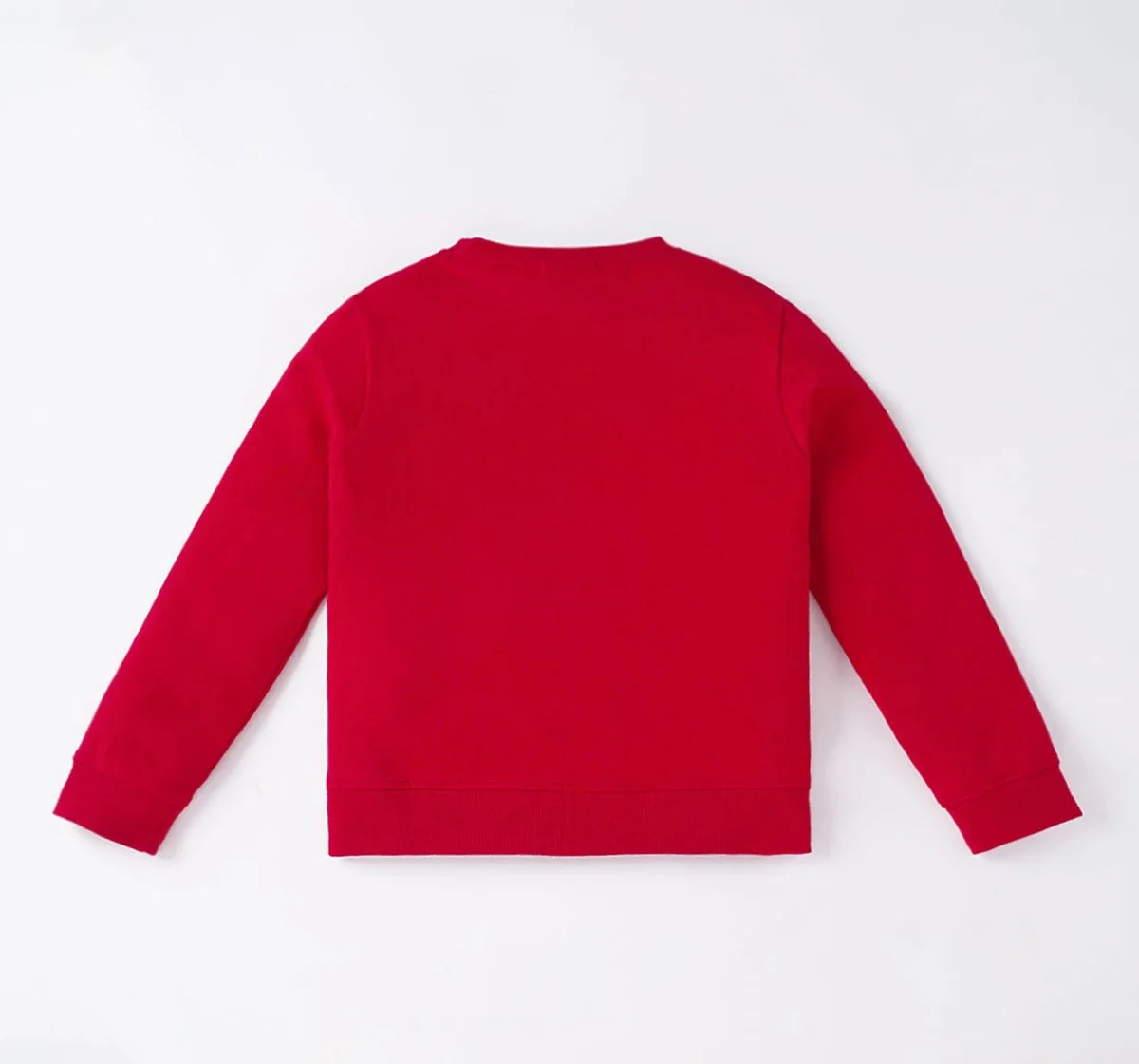 Boys Chest Print Sweatshirt