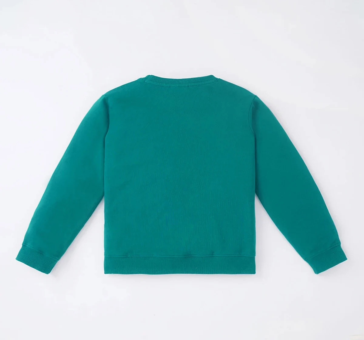 Boys Chest Print Sweatshirt