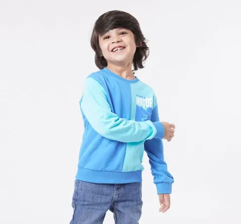 Boys Printed Sweatshirt