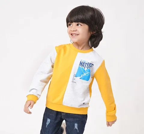 Boys Chest Print Sweatshirt