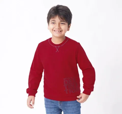 Boys Chest Print Sweatshirt