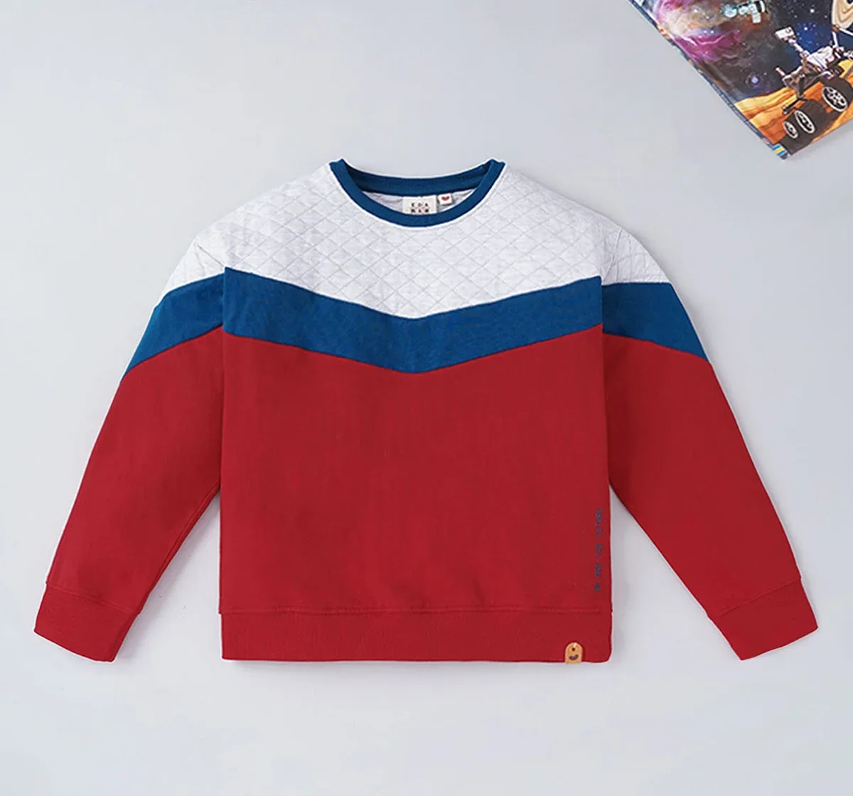 Boys Color Block Sweatshirt