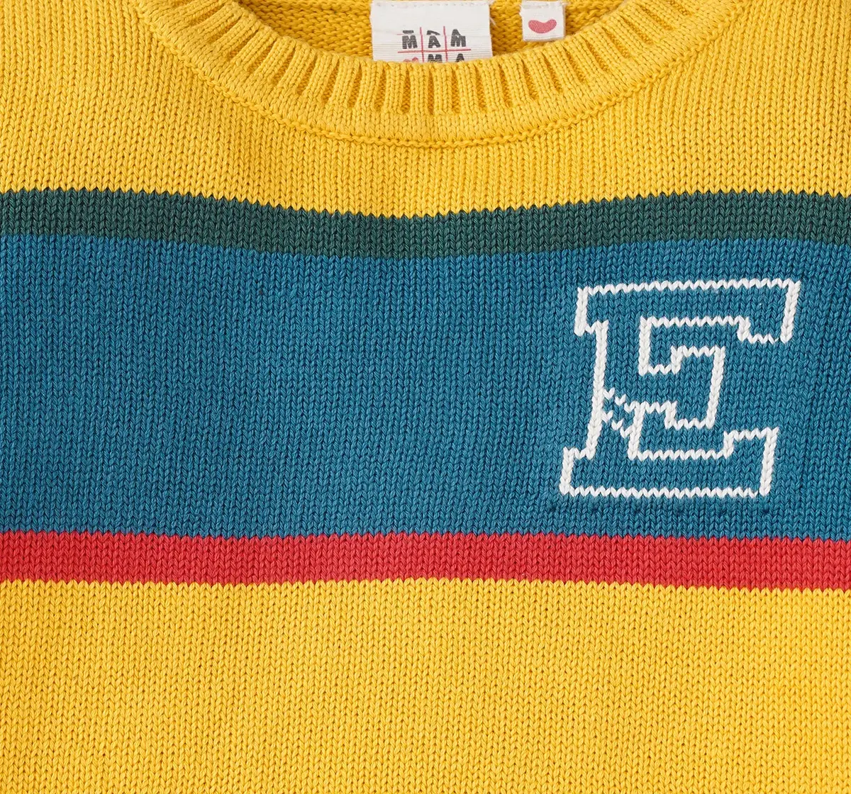 Boys Color Block Striped Sweater