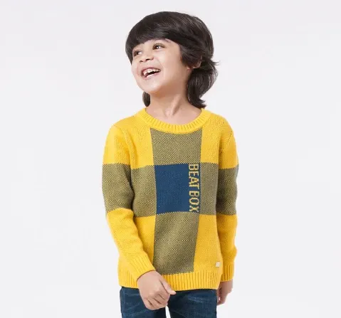 Boys Color Block Sweater
