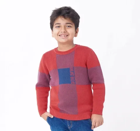 Boys Full Sleeves Crew Neck Sweater
