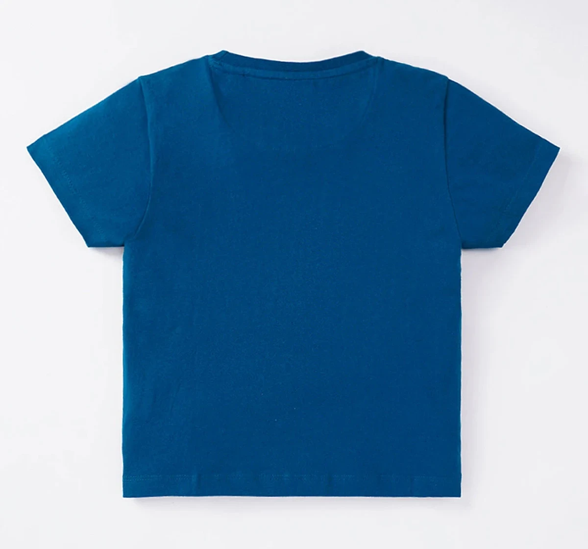 Boys Printed T-Shirt